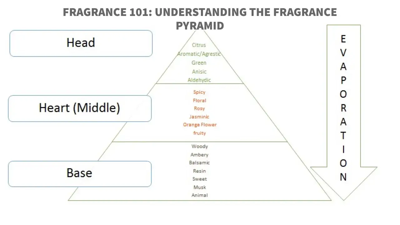 En doftpyramid som visar parfymens doftnoter: topp (Head), hj&auml;rta (Heart) och bas (Base). Evaporation-pilen visar hur dofterna avdunstar.