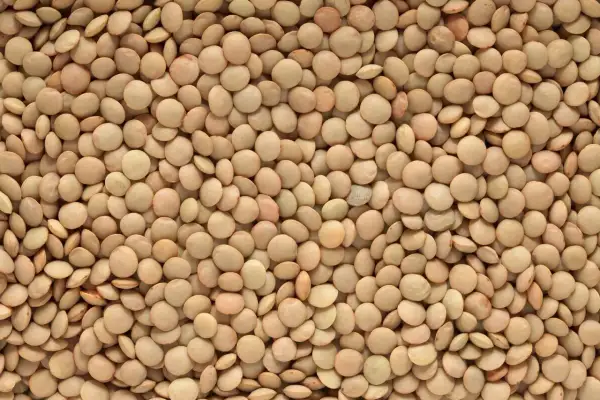 Close-up of a pile of small, round, light brown lentils.